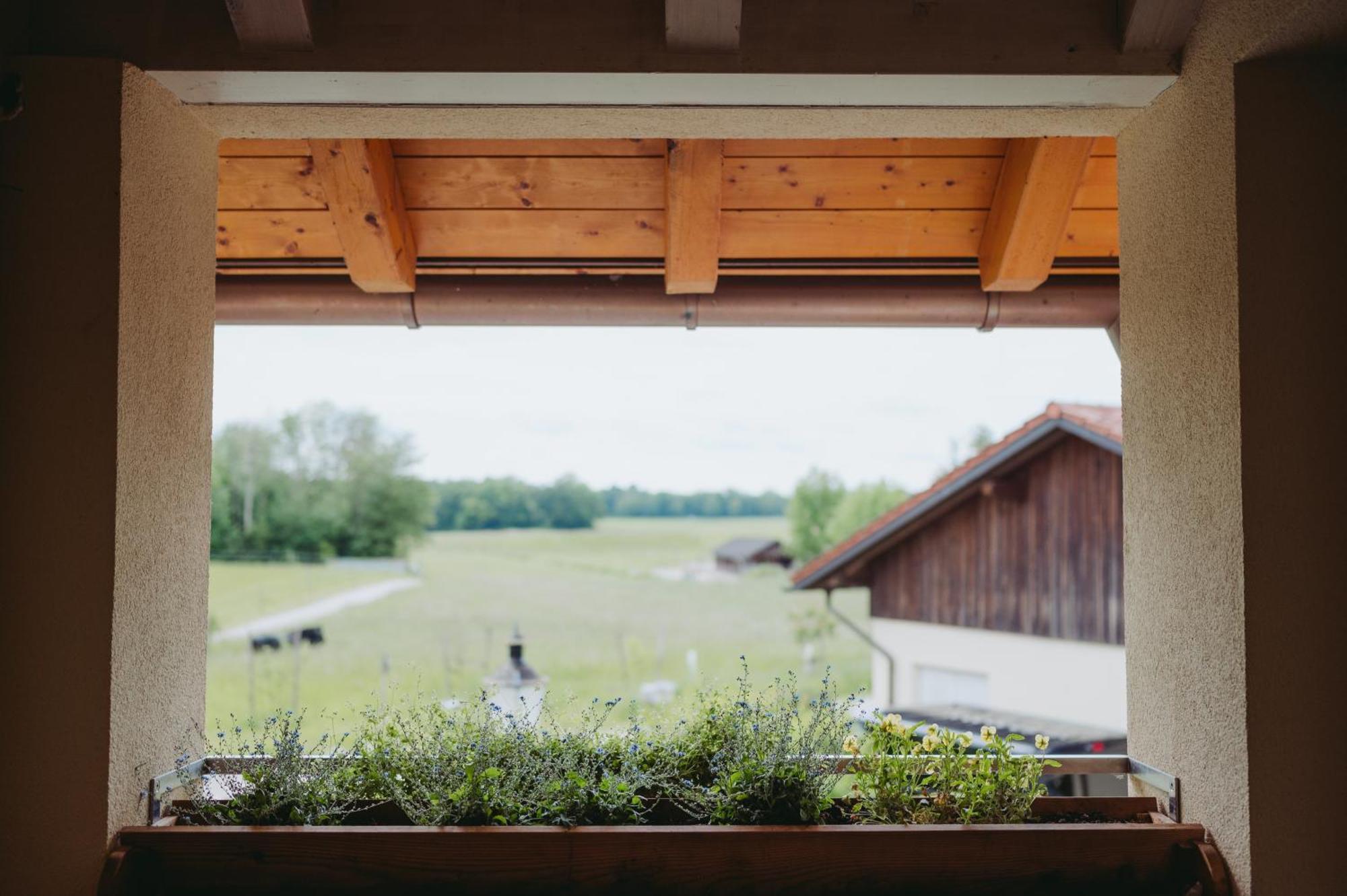 Ferienwohnungen Gut Mischenried Weßling Exterior foto